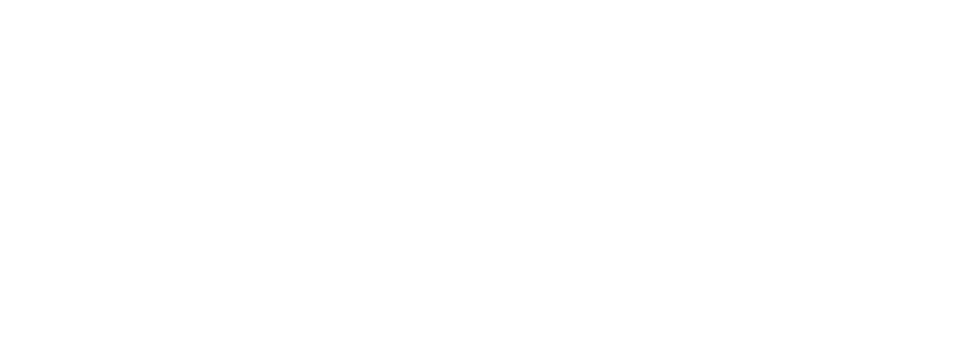 Liberation Travel